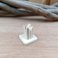 Inrichting van de tabernakel